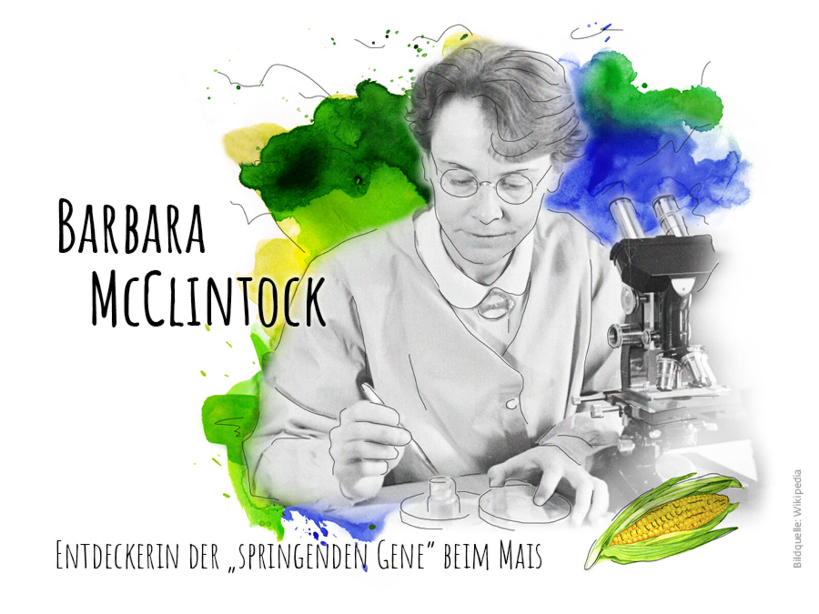 Barbara-McClintock-Die-Pionierin-der-Genetik