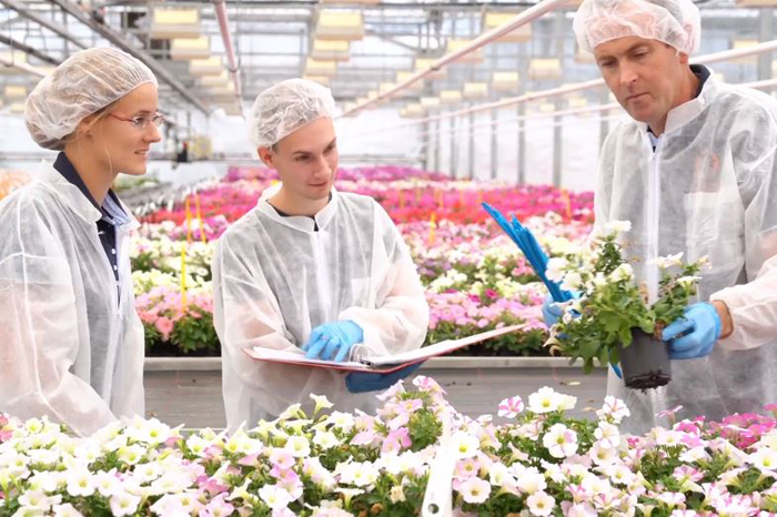 Beruf Gärtner/in - Anne und die Poinsettien