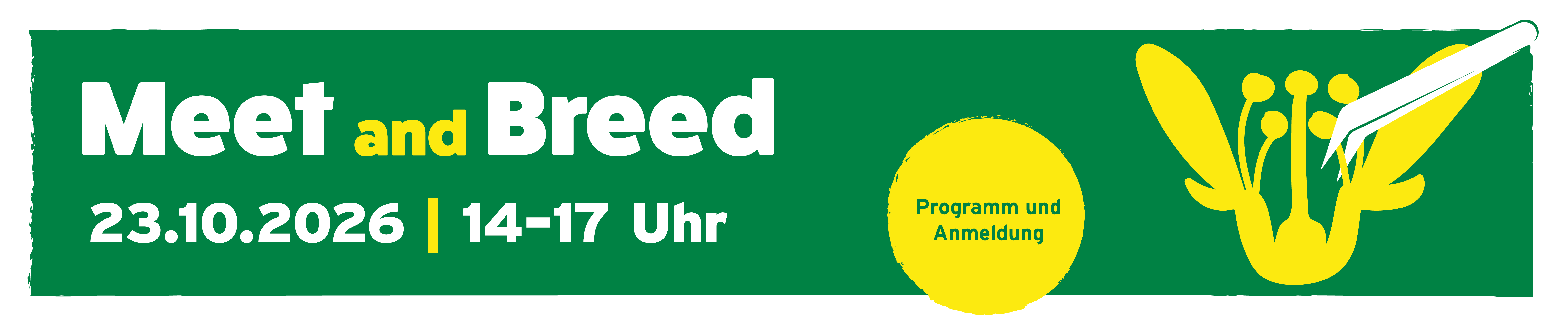 26-3700_BDP_MeetBreed_Header_Stoerer.png